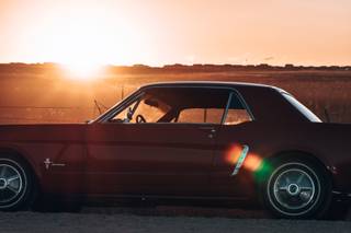 Heather Sebesta Photography - 7