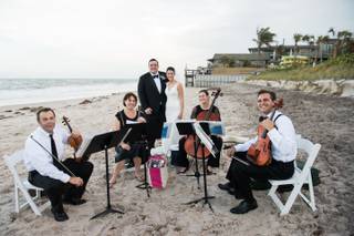 Ocean Strings / Ocean String Quartet - 32