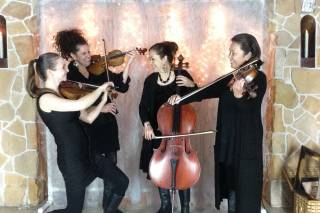 Cloud 9 Strings - 8