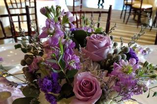 Harrington Flowers - 54