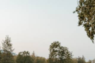 Boatique Winery - 5