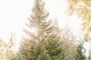 Ardenwood Historic Farm - 73