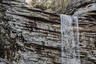 Dawn Honsky Photography - 30