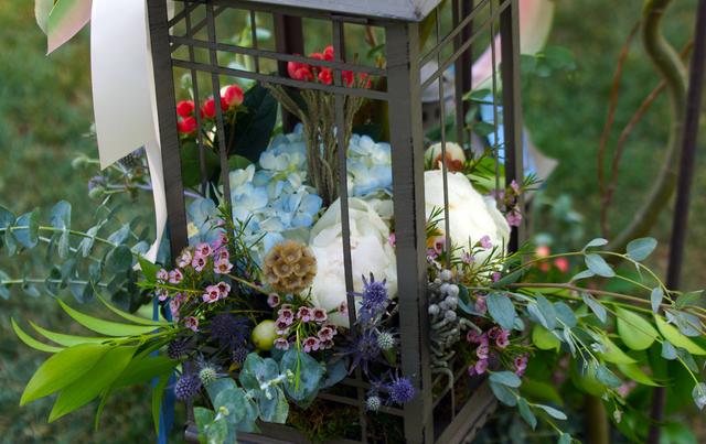 Every blooming Thing - 1