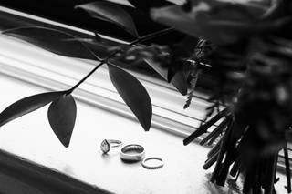 Natura Collective - 29