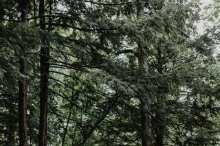 Adirondack Camp - 9