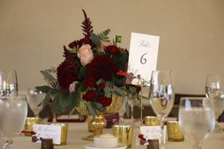 Eventscapes - 7
