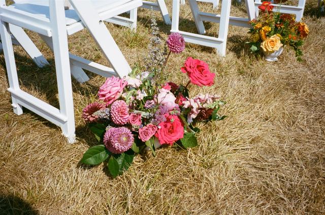 Bond in Bloom - 3