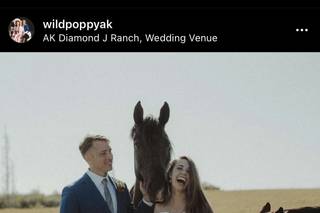 AK Diamond J Ranch - 5