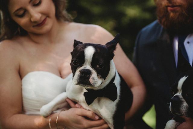 Sage + Sol Photography - 1