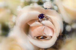 Shutterart by Debi - 14