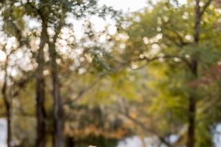 Brittany Morgan Photography - 55
