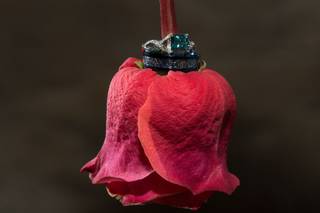 Michael Anderson Photography - 18