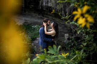 Andy Hardman Photography - 10