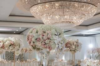 XL Entertainment Systems Inc. Draping & Lighting Decor - 10