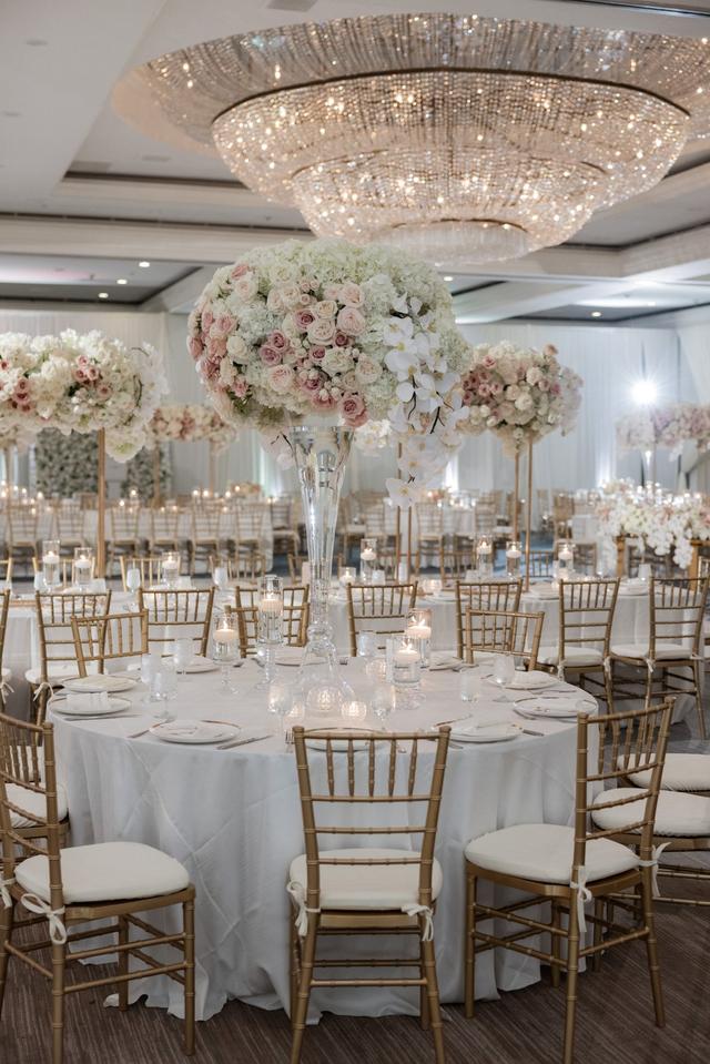 XL Entertainment Systems Inc. Draping & Lighting Decor - 2