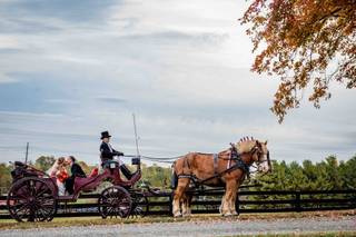 Black Horse Manor - 5