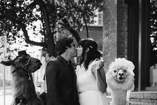 Alixann Loosle Photography - 26