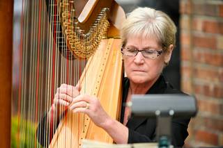 Debbie Beck - Harpist - 7