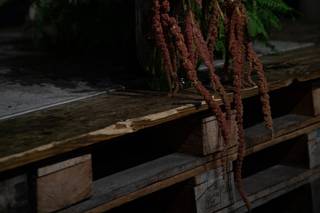 Hillen Homestead - 15