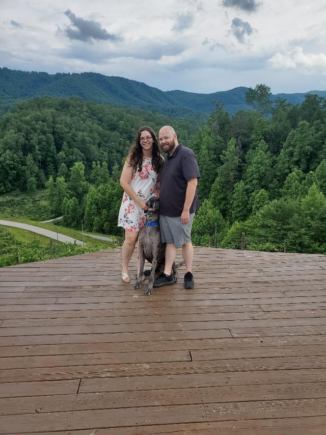 Mountain Mist Farm Venue - 4