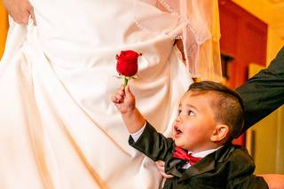 Alicia Pierce Photography - 15