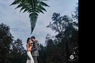Viridian Images Photography - 20