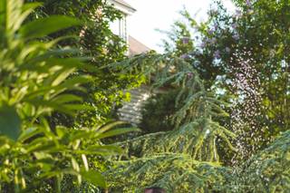 Andre Morgan Photography LLC - 34