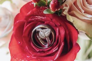 Lenisse Komatsu Photography - 19