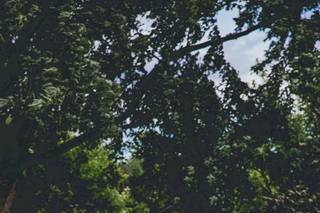 Lisa Robin Photography - 50