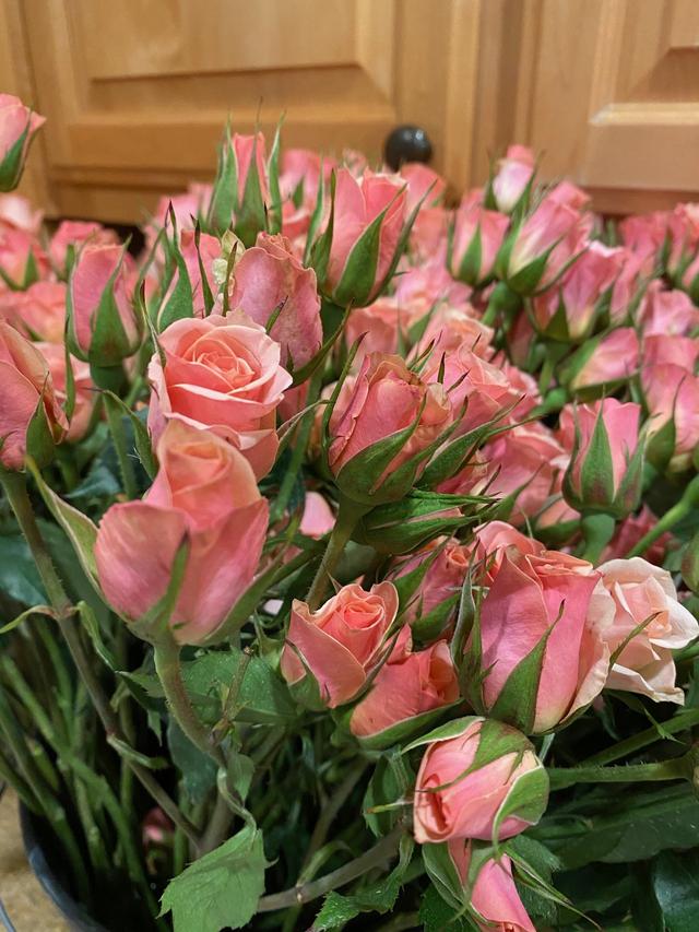 Flower Explosion - 2