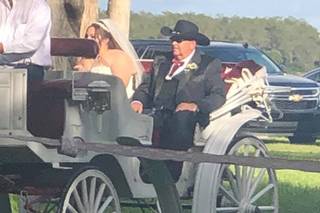 Sweet Southern Horse & Carriage - 5