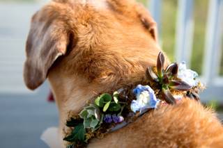 Tildy Design ~ Bridal by the Sea - 14