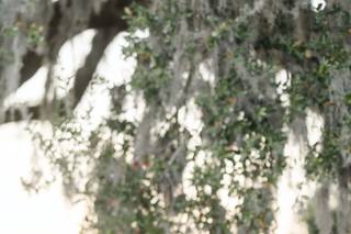 Michelle Poteet Photography - 8