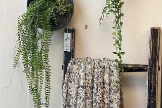Accents Home Furnishings & Decor - 1