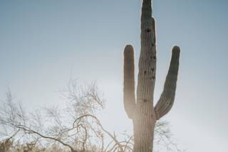 Bailey Batishev Photography - 82