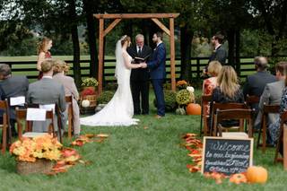 Team Wedding - 6
