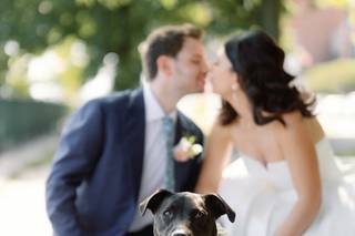 Alex Paul photography - 25