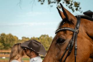 Elegant Exposures By Britt - 67