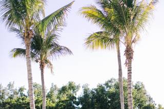 Hyatt Regency Coconut Point Resort & Spa - 16