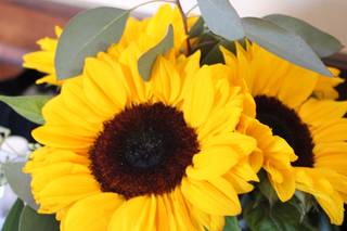 Perkasie florist - 31