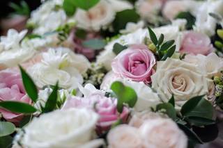 Bella Bloom Flowers - 36