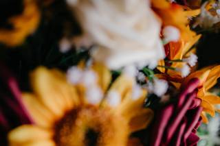 Angela Lynn Photos - 12