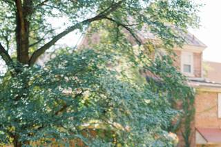 Matt Genders Photography - 12