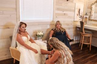 Southern Honeybee Photography - 38