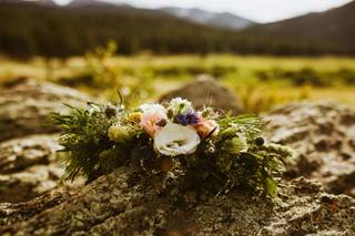 Rocky Mountain Wildflowers - 11
