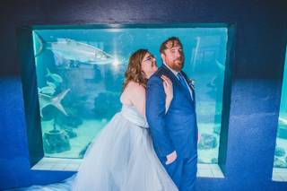 Mote Marine Laboratory & Aquarium - 7