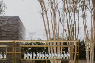 Nasher Sculpture Center - 9