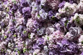 Stemmed Floral - 20