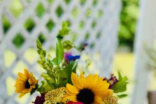 The Poplars at Bearwallow Mountain - 5